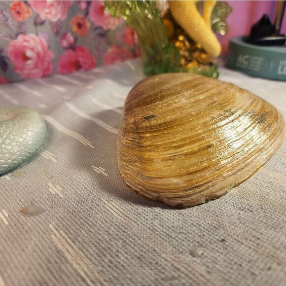 DECOUPAGE CLAM SHELL DECOUPAGE FLOWERS TRINKET DISH - Picture 8 of 8